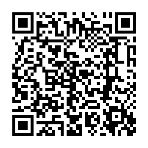 呜呜……为什么我会是她的女儿……我恨他们……我真得好恨他们……二维码生成