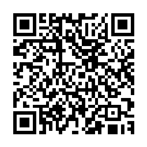 周丹以狂风暴雨般的凶猛攻击给剑尘造成了一次又一次的伤势二维码生成