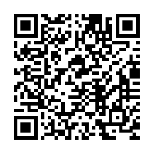 周二爷和胡二奶奶是在神将府的大门口遇到周怀礼他们一行人的二维码生成