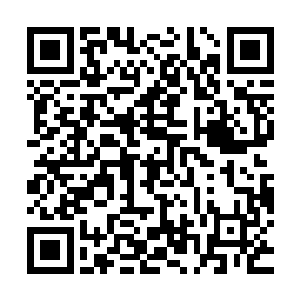 周兰昕和伊人虽然很是羡慕莫春娇可以得到这么一只强大的灵宠二维码生成