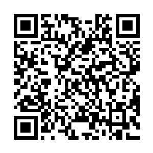 周围一刻钟飞行的路程内不就眼前一株灌木内有荒兽吗二维码生成
