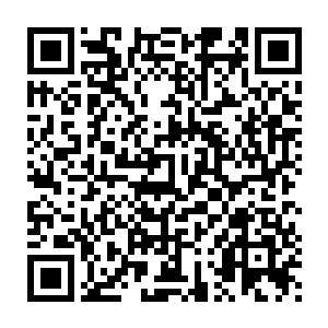 周围的御兽门弟子只感觉有一股强大的力量将他们全部都碾压在了下面二维码生成