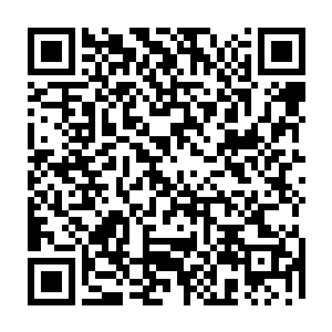 周围缭绕着的旧0多只到刀锋羽妖在魔焰波扩散开的那一瞬间竟然全部化为了乌有二维码生成