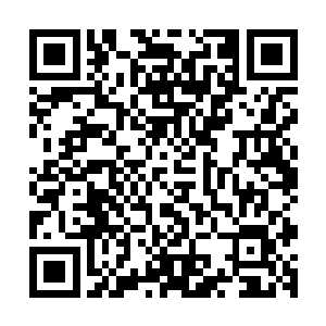 周御龙所化的那把长剑几乎在瞬间便刺破了那无尽飓风的阻碍二维码生成