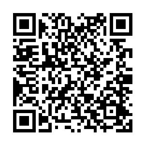 周芸一本正经地和林烽介绍着她的一个策划和想法二维码生成