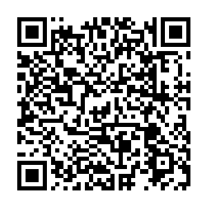 周轮生和周家子弟在即将落入到白雾当中好不容易控制了身体伤势停滞在半空二维码生成