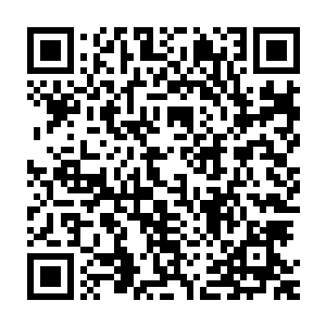 周轮生和戴军两人这才看到纪威晨丢在一旁可以说是破抹布的破衣二维码生成