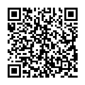 周霸和家族中的一个筑基期第二层的修士周部带着周家的弟子二维码生成