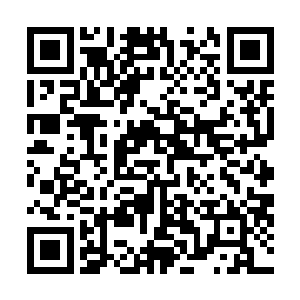 呵……一下子把加速移动和提升防御的技能都给用掉了啊二维码生成