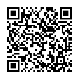 命他们主导各自控制的大域中的人族势力的撤离和转移二维码生成