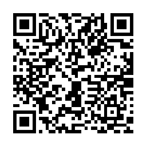 命运总是在这样不经意的时间内和你开上一个并不可笑的玩笑二维码生成