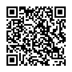 和一个祖祖辈辈都生活在雨林里的人没办法说雨林的常识二维码生成