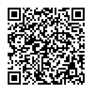 和一群连普通级都不到的蚂蚁们忽然出现在最终世界这个庞然巨兽的口中二维码生成
