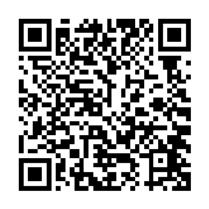 和两个小家伙一起帮他们照顾三台二手晶铠和各种进攻性法宝二维码生成