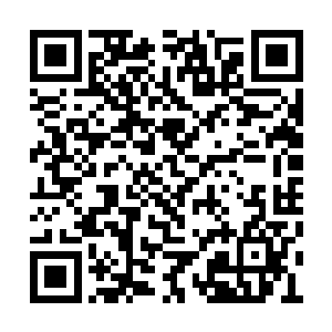 和主人分析记忆和感情往往和主人性格极其相近二维码生成