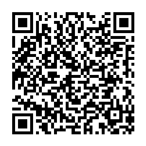 和人类作为宇宙最强战斗种族的生命极限――这就是千年前的修仙者二维码生成