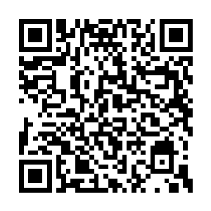 和他一起出任务的战士再优秀也仅仅是普通人类二维码生成
