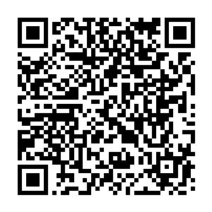 和他比起来就像是幼儿园和大学生的差距输给他我并不觉得有任何的丢人二维码生成