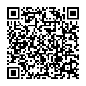 和先前的那个蠢蠢完全判若两鸟啊··即使他表露自己不是真的蠢二维码生成