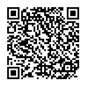 和其他由无序的自然演变序列组成的宇宙相比……除了多几分乏味之外二维码生成