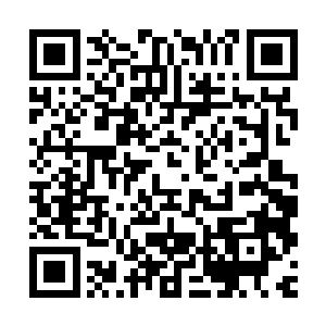和几位学院的领导们一起同江少游商量起跳级读研的问题来……二维码生成