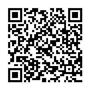 和南南一块重新退回到了他们原先所住的那个房间门口二维码生成