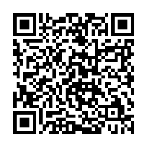 和厉一鸣在这里说这些没用的话已经没有任何的意思二维码生成