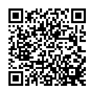 和塔主二人从混沌海洋悄无声息的向斜月至尊域再次飞了过来二维码生成