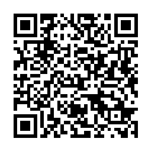 和大部队保持一百米的距离成了个无法实现的目标二维码生成