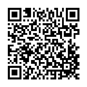 和小镇里街道上的某一个损毁只剩下小半截的微型机甲是同一架二维码生成