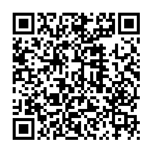 和尚也没有继续纠结关于他究竟为什么会修炼速度这么快的这个问题二维码生成