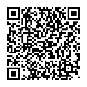 和张氏站在一处的刘氏和周兴旺用满含恶意和嘲弄的目光盯着程兆儿二维码生成