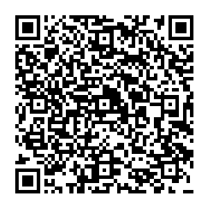 和张铁一家人走得近的两个大伯家里的人在一个月前已经动身前往东方大陆与老爸老妈他们汇合二维码生成