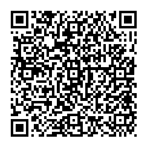 和总管惊讶的是宋青山居然将十三太保横练金钟罩和大力鹰爪功这一攻一守的两种功法都修炼到大师级的层次二维码生成