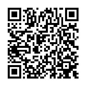 和整个祝南镇融为一体……现在这里就好像你的根据地二维码生成