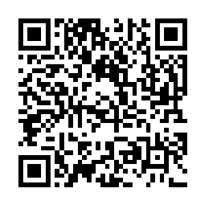 和无心一起看清楚了――车里装载的竟然是几门迫击炮二维码生成