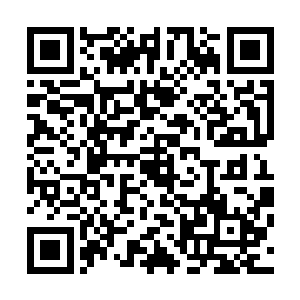 和林子里战士们提出的一串又一串大小不一形态各异的野鼠二维码生成
