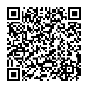 和比肩王站在一排的灭焰联盟二十余名圣王强者自然也收到了令牌传递的信息二维码生成