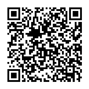 和汪逹朋对视一眼后随手拿起身边的一件骨器问询店主那件骨器怎么卖二维码生成