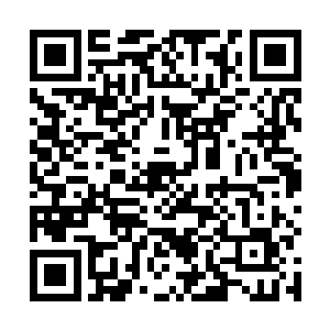 和计算机这种所有数据全部保存的记忆方式有较大区别二维码生成