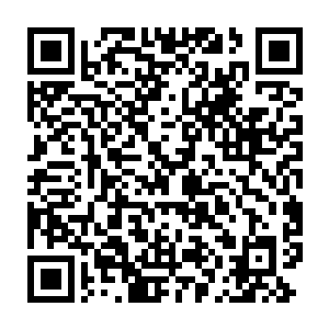 和那一块已经被吸收了一半的海底轮结晶一起沉淀在了识海的深处二维码生成