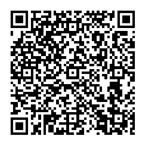 和那一颗颗蕴含着可怕寒气的巨型冰雹也几乎同一时间轰击在了那支组成锋矢阵冲锋的火焰大军之上二维码生成
