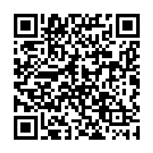 和阮软那把湿漉漉仍滴水的淡粉色雨伞并排放到一起二维码生成