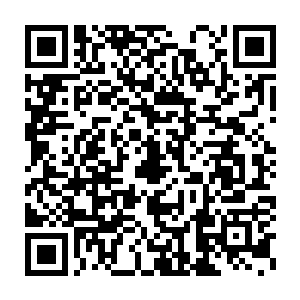 和魂窟宗弟子一样满脸黑线的看着掌柜的和叶逸之依依不舍的告别二维码生成