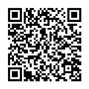 和龙族学习掌握的战技中没有宽恕和手下留情的余地二维码生成