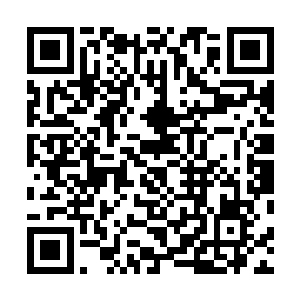 咒巫为了他不惜大闹土城和土城整座神殿及王室血脉结仇二维码生成