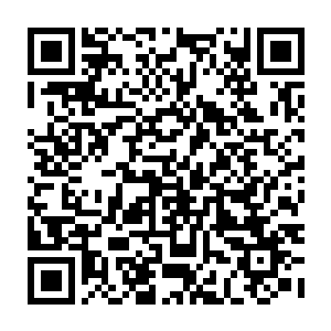 咨询公司智能家居订单是否出问题的电话已经让整个客服部门没法正常运转了二维码生成