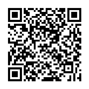 咬牙切齿得认同了完美至上得吸血鬼并不是十全十美得二维码生成