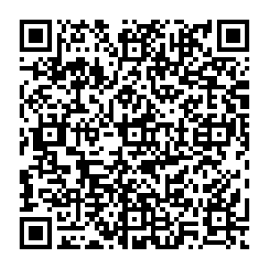 咯咯……好弟弟……想不到又有见面了……唉……真为那些得罪你的人感到可怜……嘻嘻……二维码生成