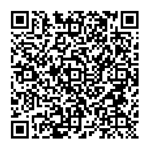 咱们宣传部今年的一项最重要的任务就是牵头完成这个庆祝建市四十周年的庆典活动的准备工作二维码生成